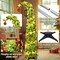 5 ft Christmas Whimsical Pop up Curved Tree(Green)12.72"D x 12.6"W x 3.35"H